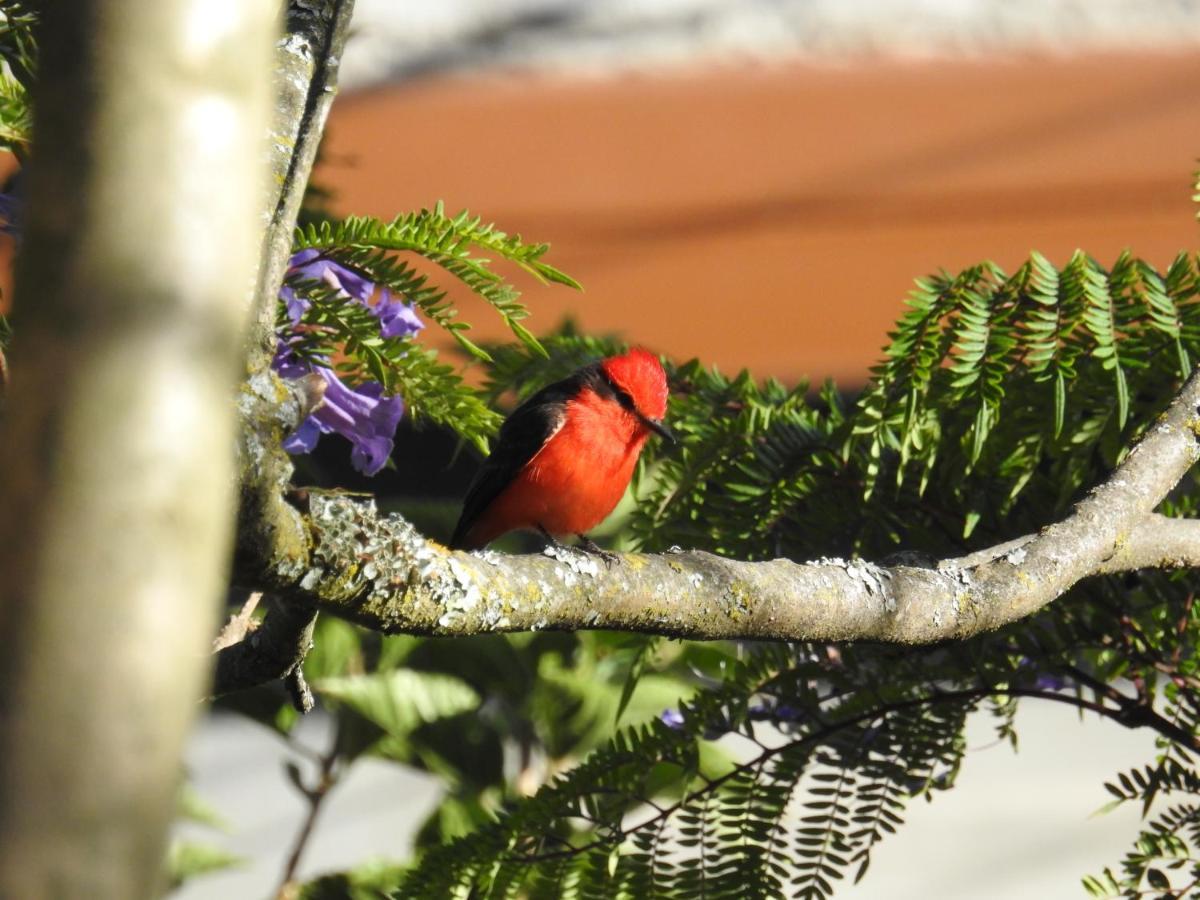 Hacienda Jimenita Wildlife Reserve Hotel Puembo