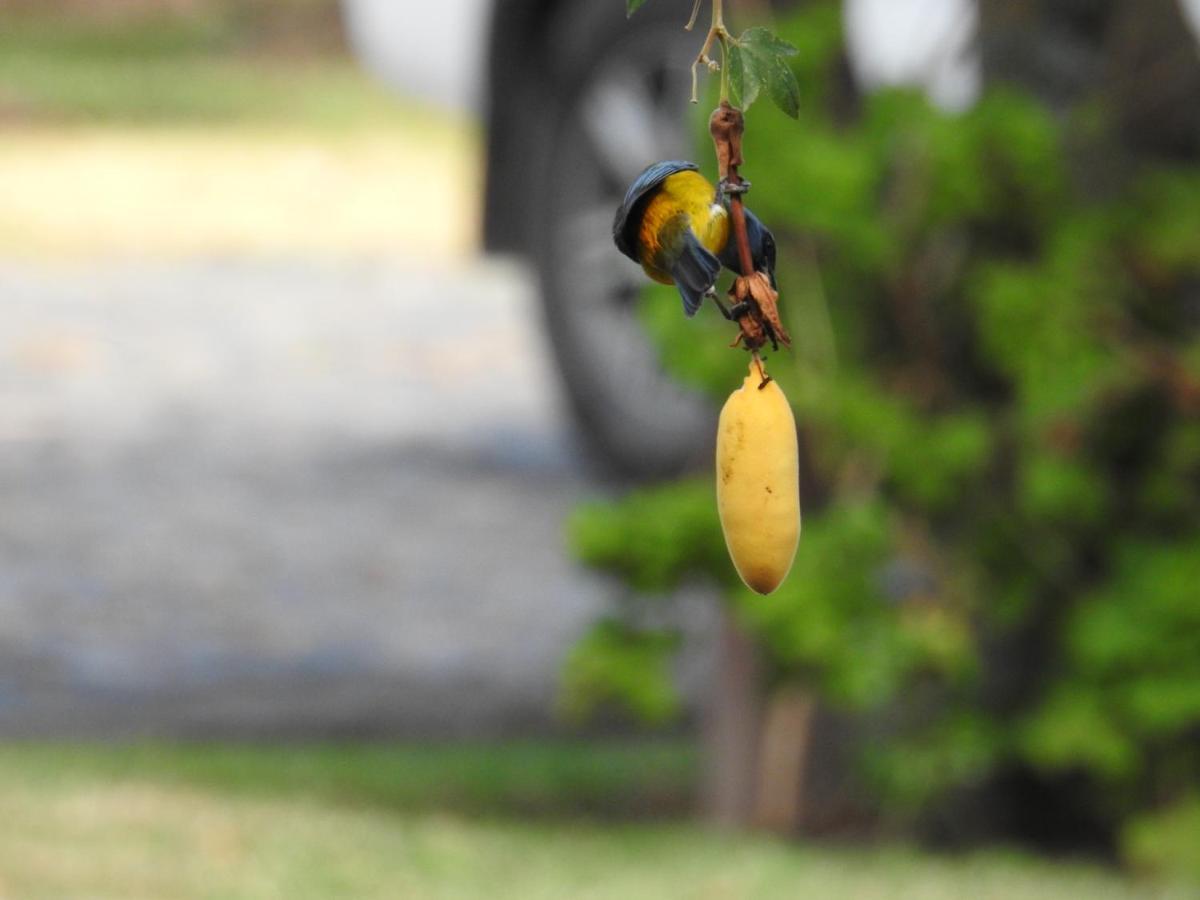Hacienda Jimenita Wildlife Reserve Hotel 5*